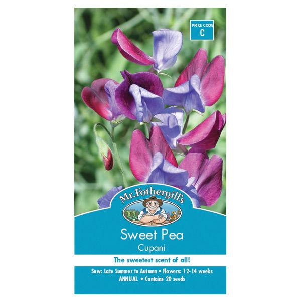 Sweet Pea Cupani Seed
