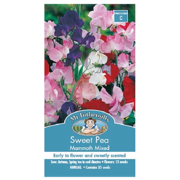 Sweet Pea Mammoth Mixed Seed