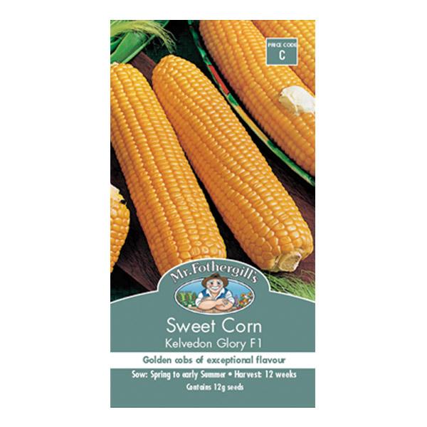 Sweet Corn Kelveden Glory Seed