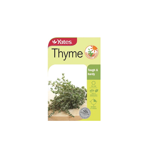 Thyme