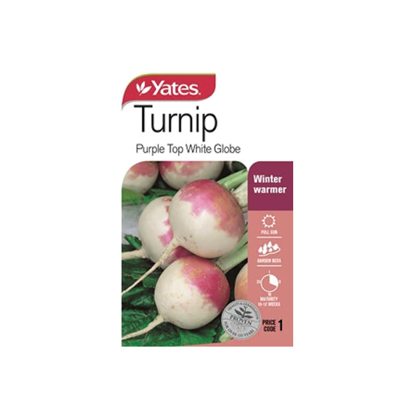 Turnip Purple Top White Globe