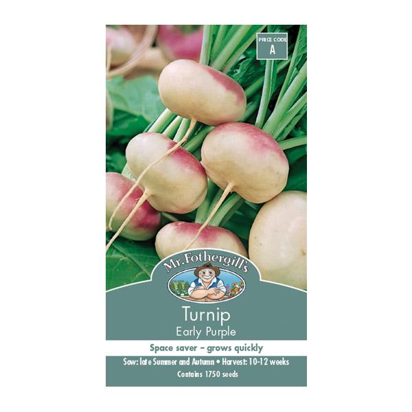 Turnip Early Purple Seed