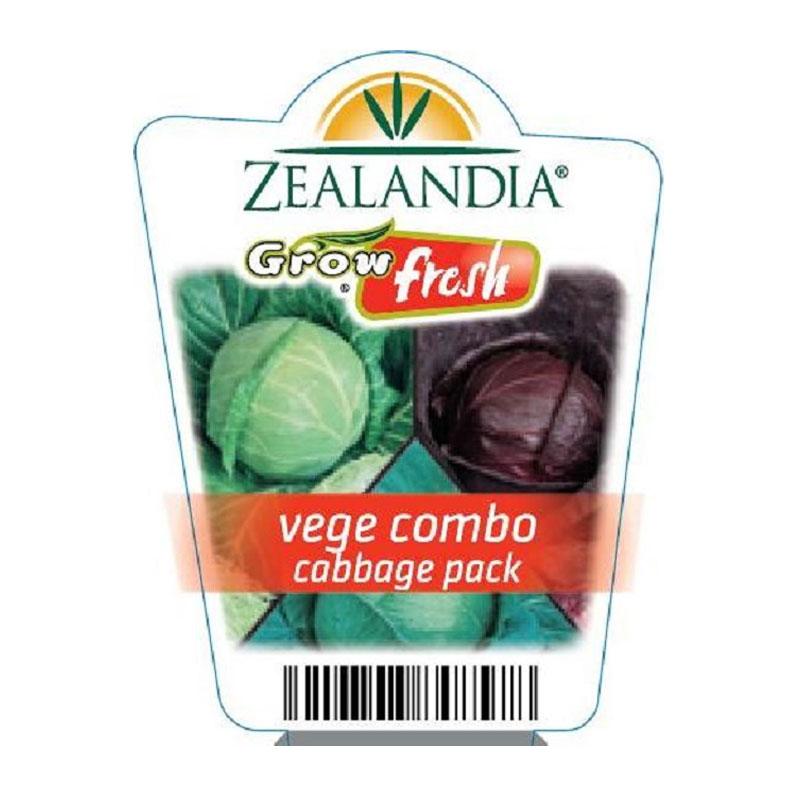 Vege Combo Cabbage Pack Vegetable Punnet