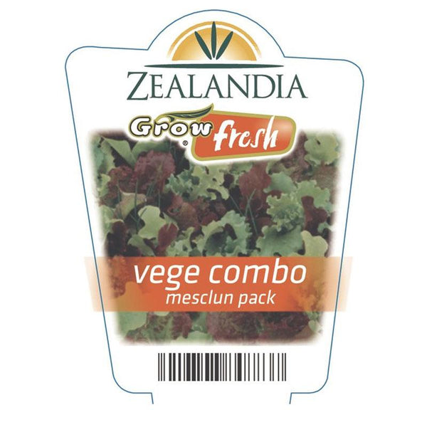 Vege Combo Mesclun Pack Vegetable Punnet