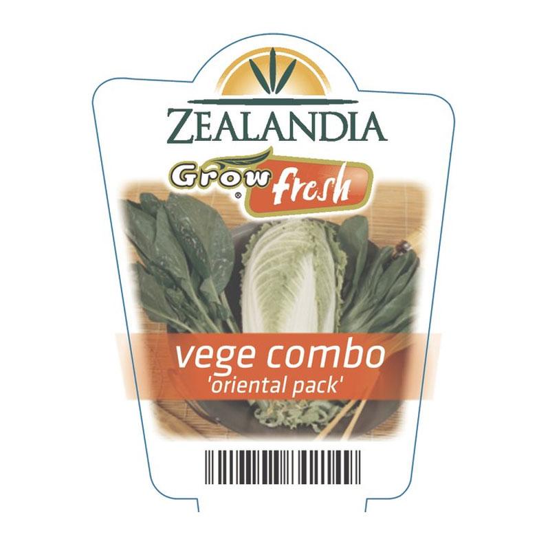 Vege Combo Oriental Pack Vegetable Punnet