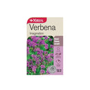 Verbena Imagination