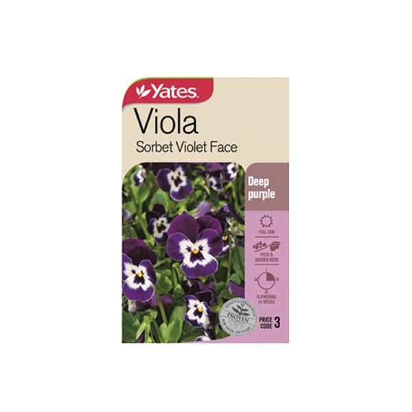 Viola Sorbet Violet Face