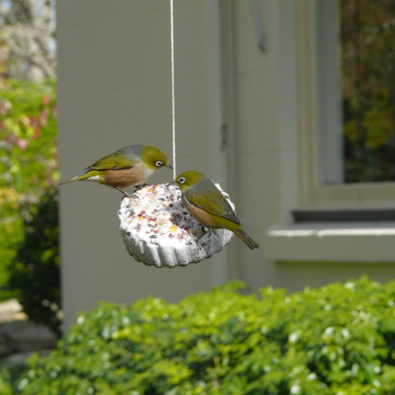 Wild Bird Gourmet Hanging Treat
