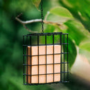 Wild Bird Cake Feeder