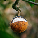 Wild Bird Coconut Feeder