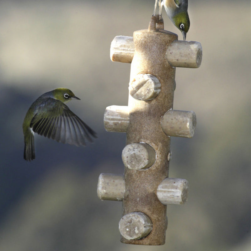 Wild Bird Suet Feeder Energy Log