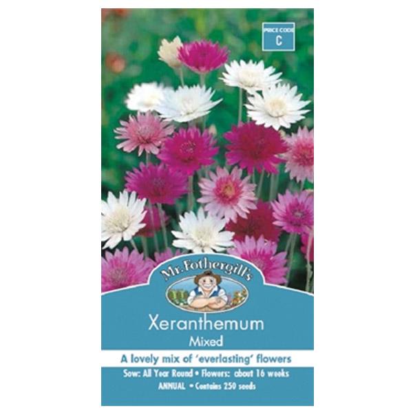 Xeranthemum Mixed Seed