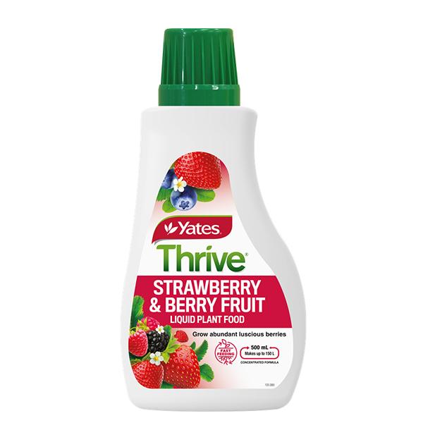 Yates Thrive Strawberry Liquid Plant Food - 500ml