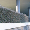 Corokia Frosted Chocolate - 3.5L