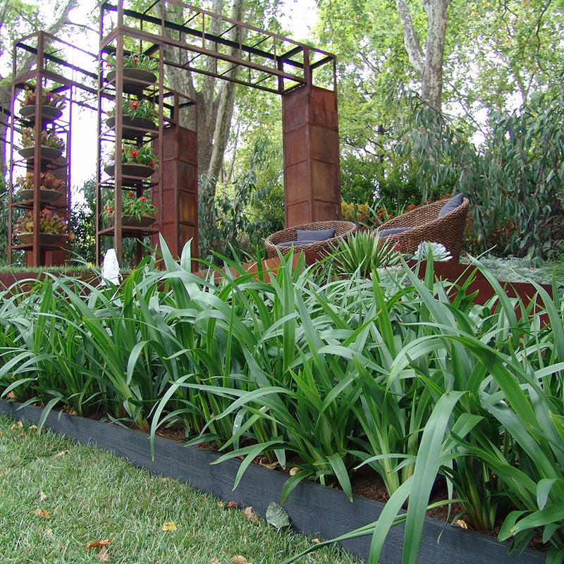 Dianella Emerald Arch - 1.9L