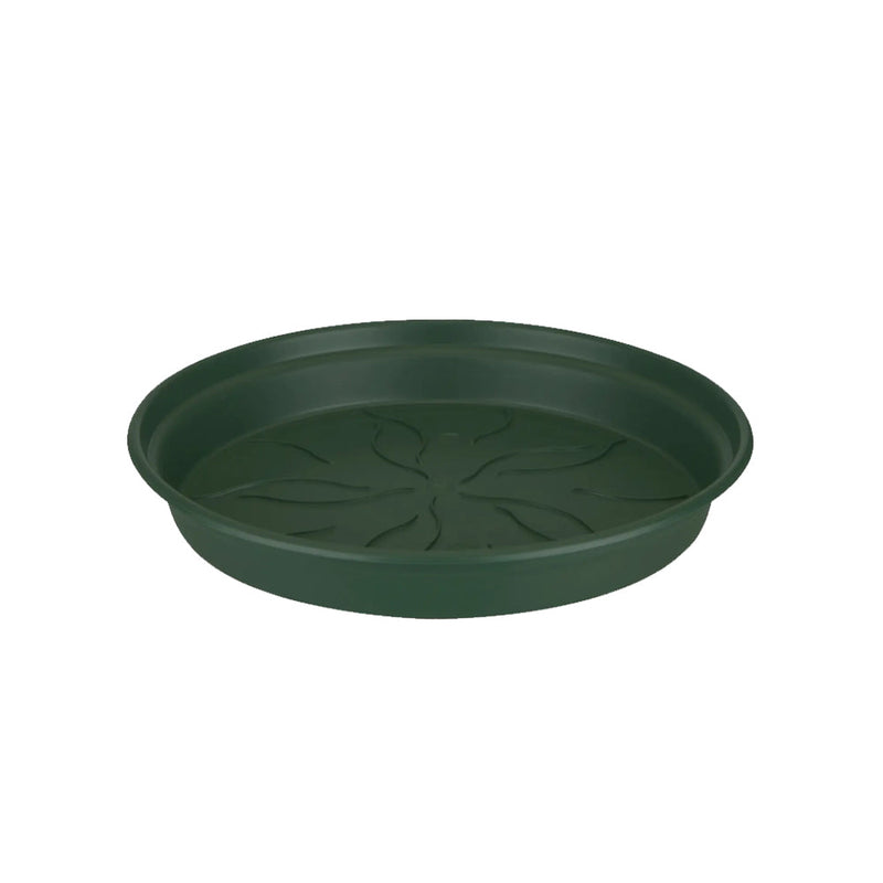 Green Basics Saucer Green - 25CM