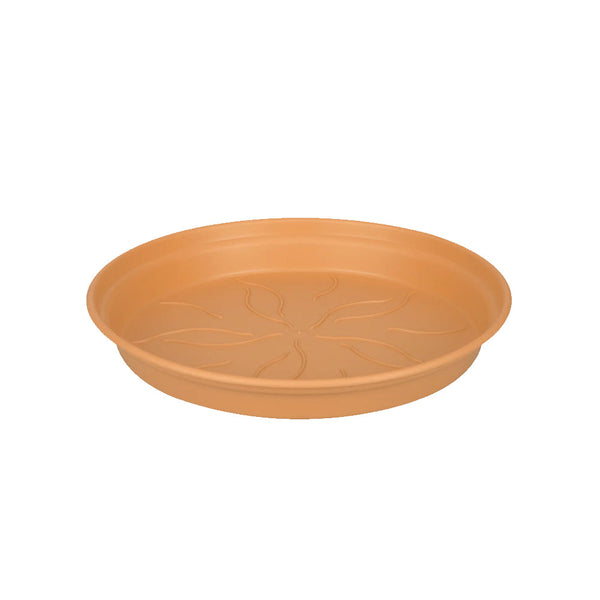 Green Basics Saucer Terra 29CM