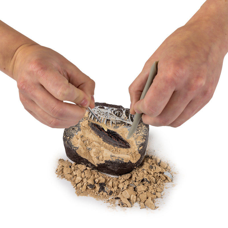 National Geographic Dino Dig Kit