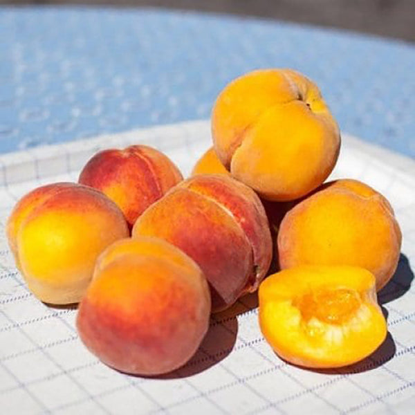 Peach Peacharine