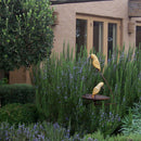 Rosemary Tuscan Blue - 3.5L