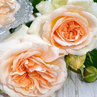 Showpiece Rose Champagne - 2.5L