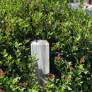 Viburnum Eve Price - 3.5L