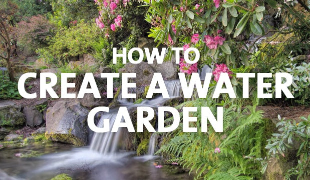 create a water garden