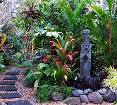 tropical plant garden planner