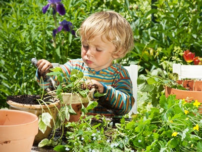 gardening landscape
