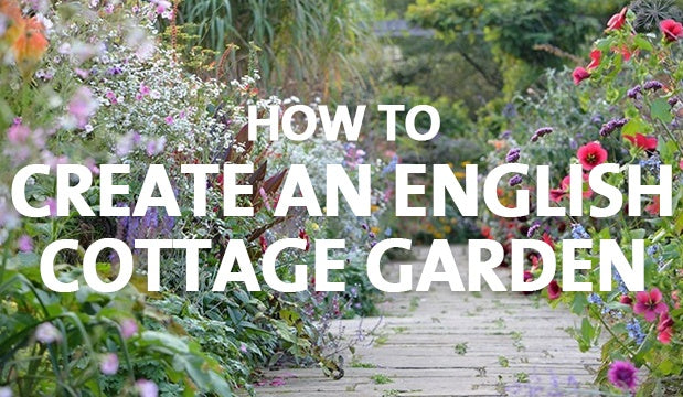 How To Create An English Cottage Garden Palmers Garden Centre