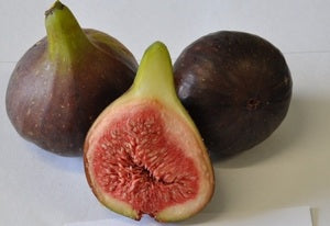 How to Grow Figs - Palmers Garden Centre
