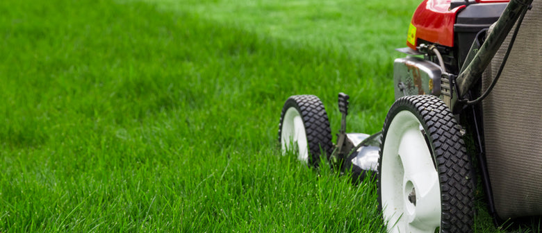 How to Care for Your Lawn