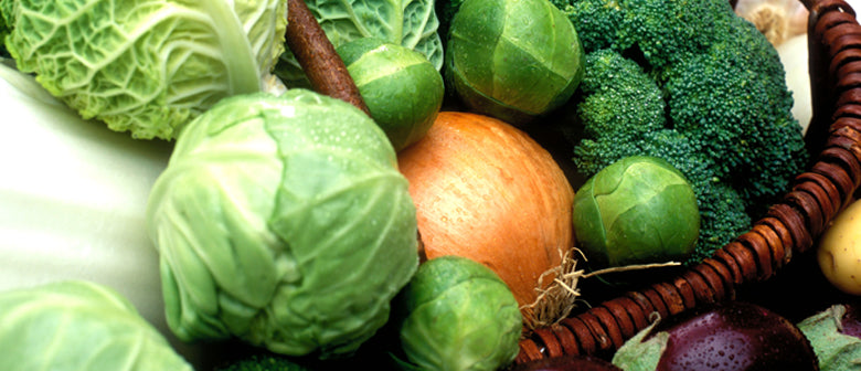 Top 14 What to plant in winter 6 How to Grow Winter Veges